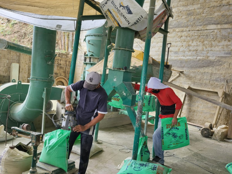 Copia de Sin título (1)