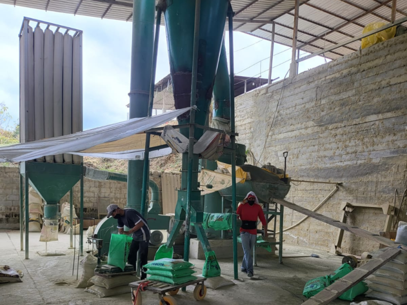 Copia de Sin título