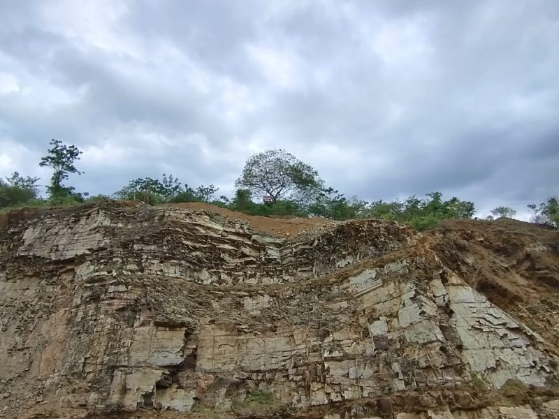 WhatsApp Image 2025-12-19 at 3.54.43 PM